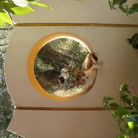 Athina Aparthotel